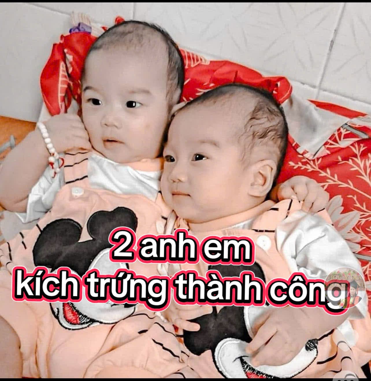 Điều trị vô sinh hiếm muộn
